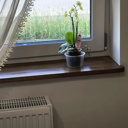 Apartamento Stara Cegla *