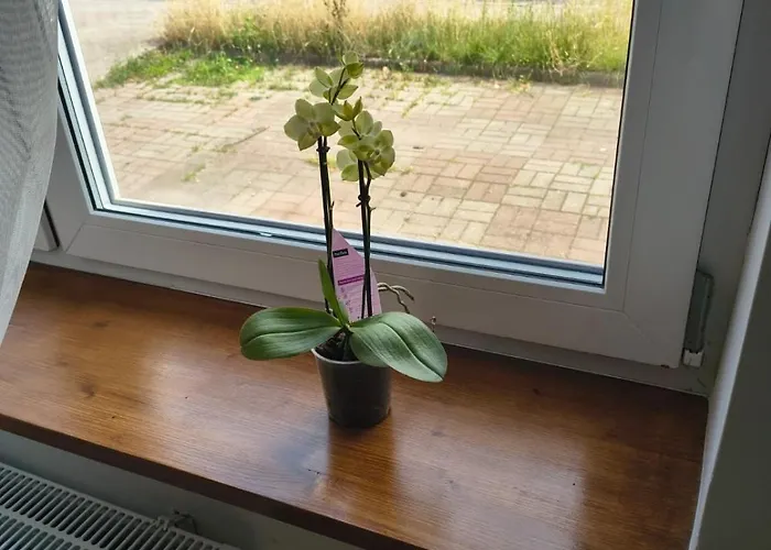 דירה Stara Cegla