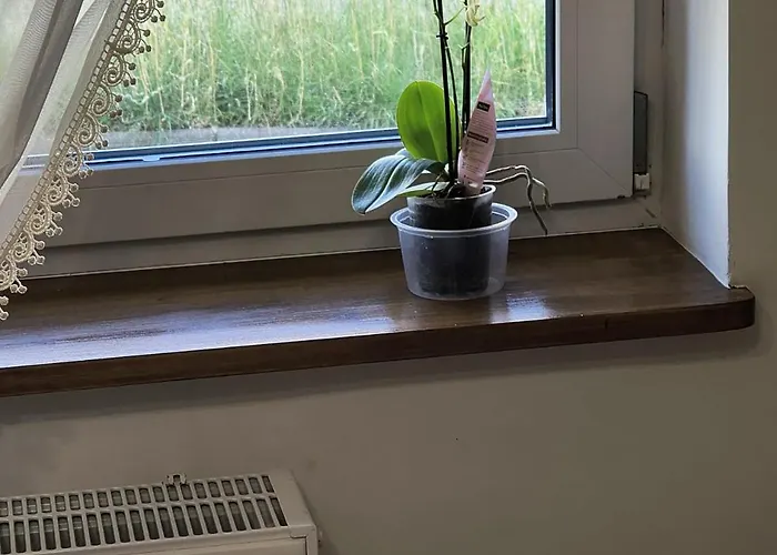 Apartment Stara Cegla *